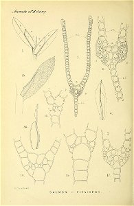 n169_w1150
