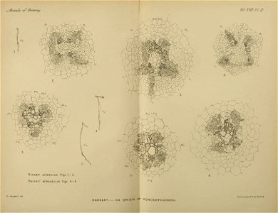 n118_w1150