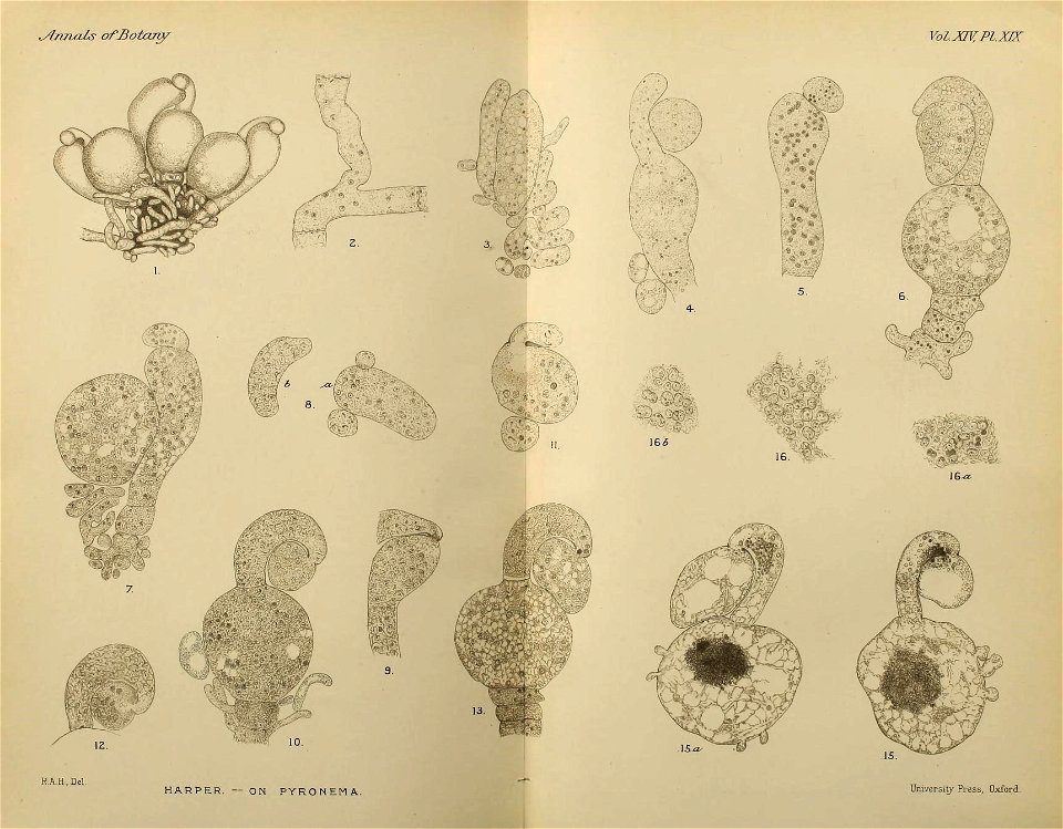 n508_w1150