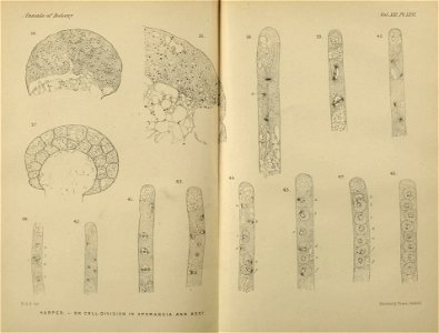 n666_w1150