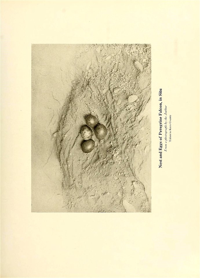 n142_w1150