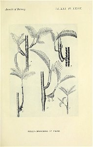 n612_w1150