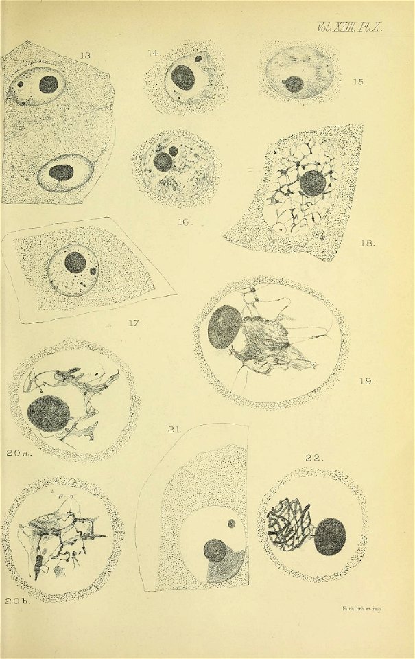 n218_w1150