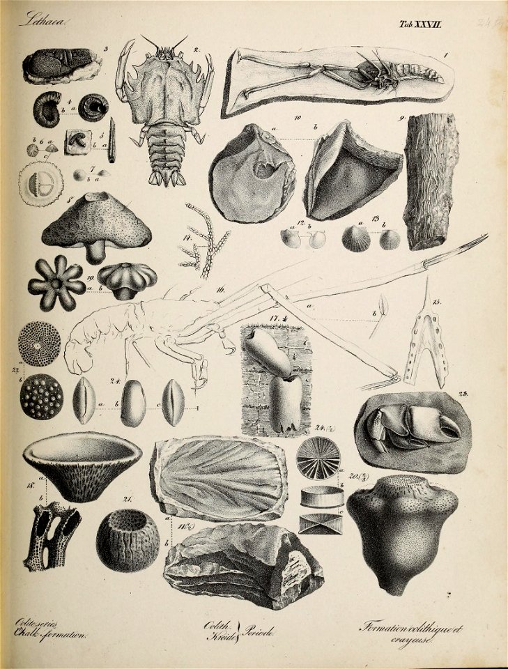 n128_w1150