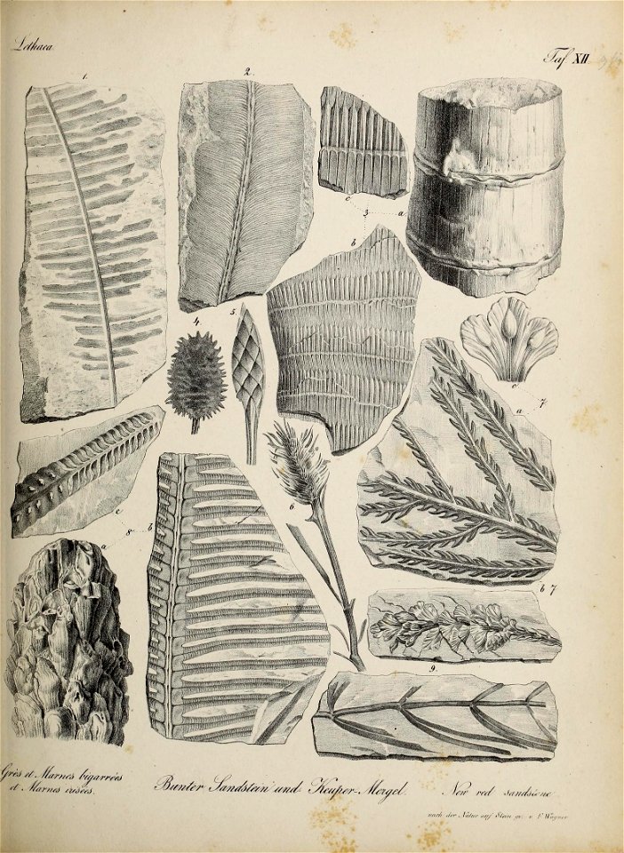 n68_w1150