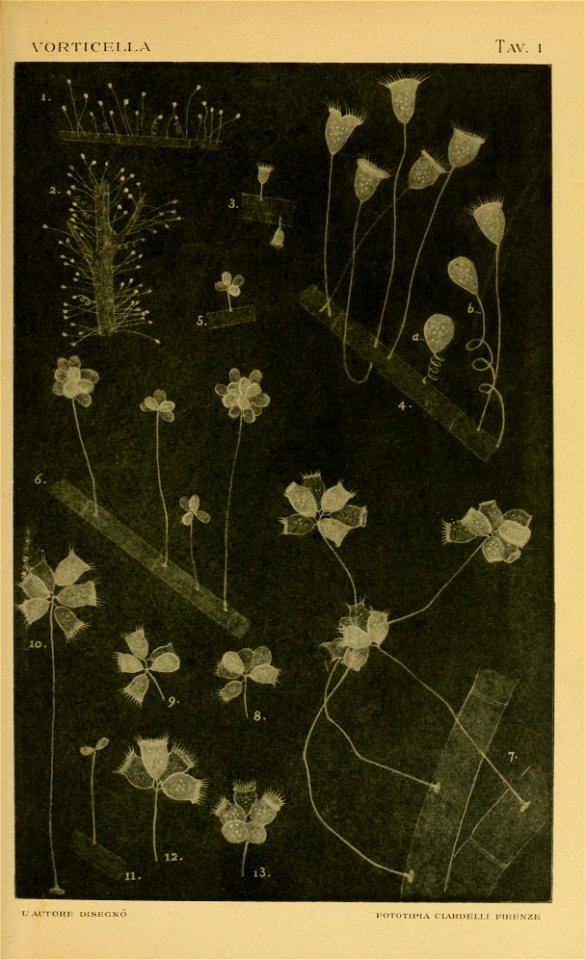 n44_w1150