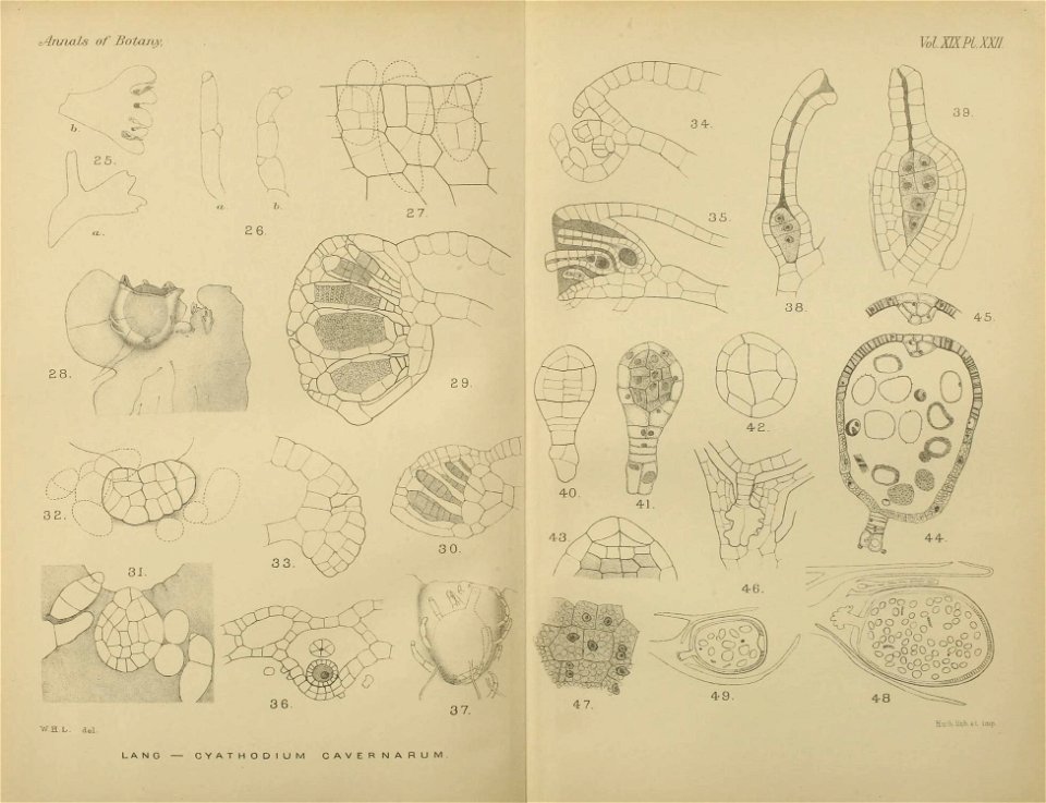 n568_w1150
