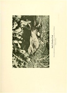 n660_w1150