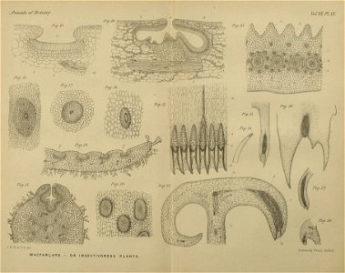 n578_w1150