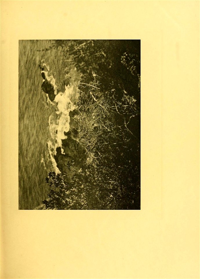 n246_w1150
