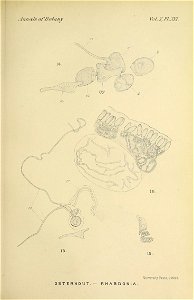 n552_w1150