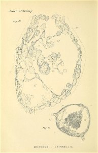 n57_w1150