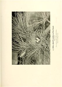 n562_w1150