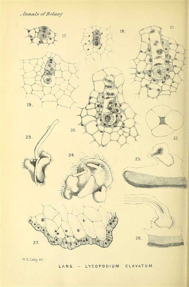 n411_w1150