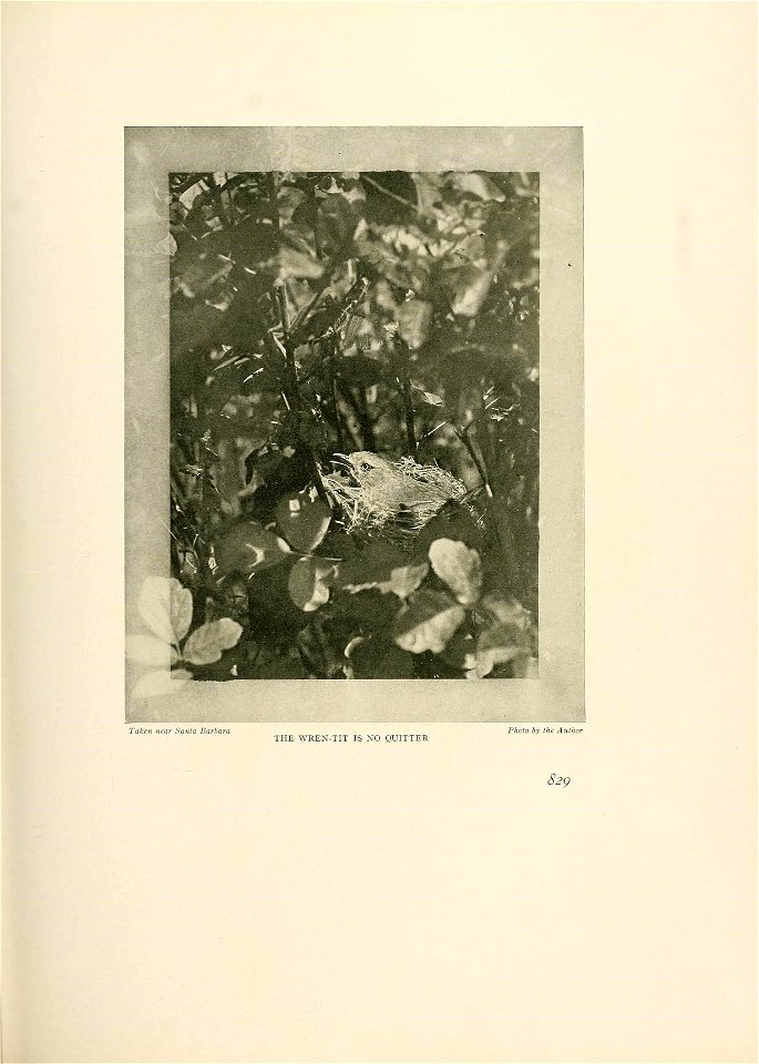 n468_w1150