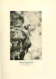 n330_w1150