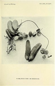 n682_w1150