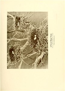 n574_w1150