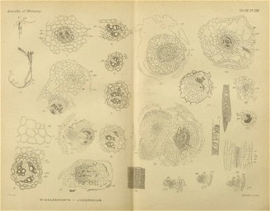 n362_w1150