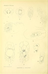 n443_w1150