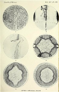 n194_w1150