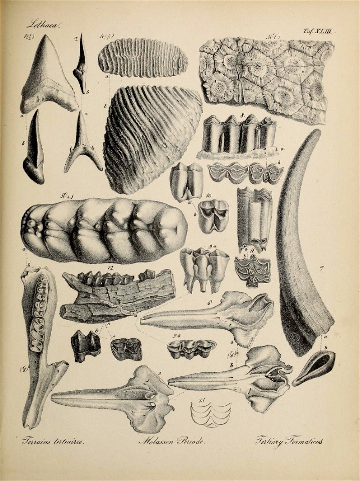 n192_w1150