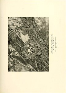 n582_w1150
