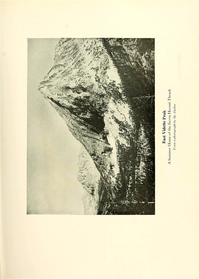 n354_w1150