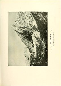 n354_w1150