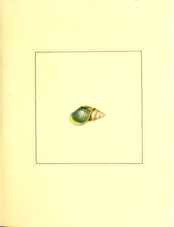 n96_w1150