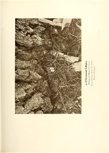n412_w1150