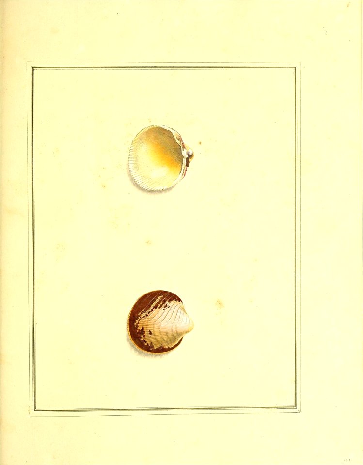 n278_w1150