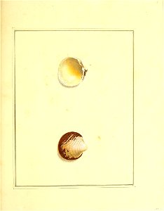 n278_w1150