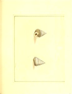 n232_w1150