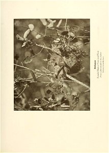 n106_w1150