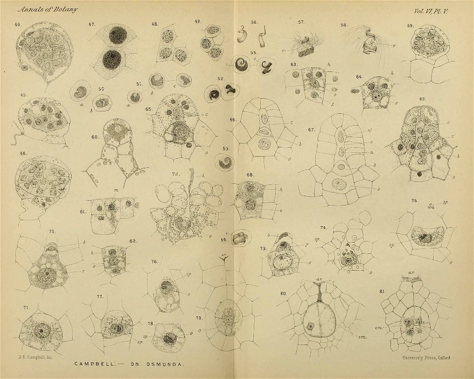 n138_w1150