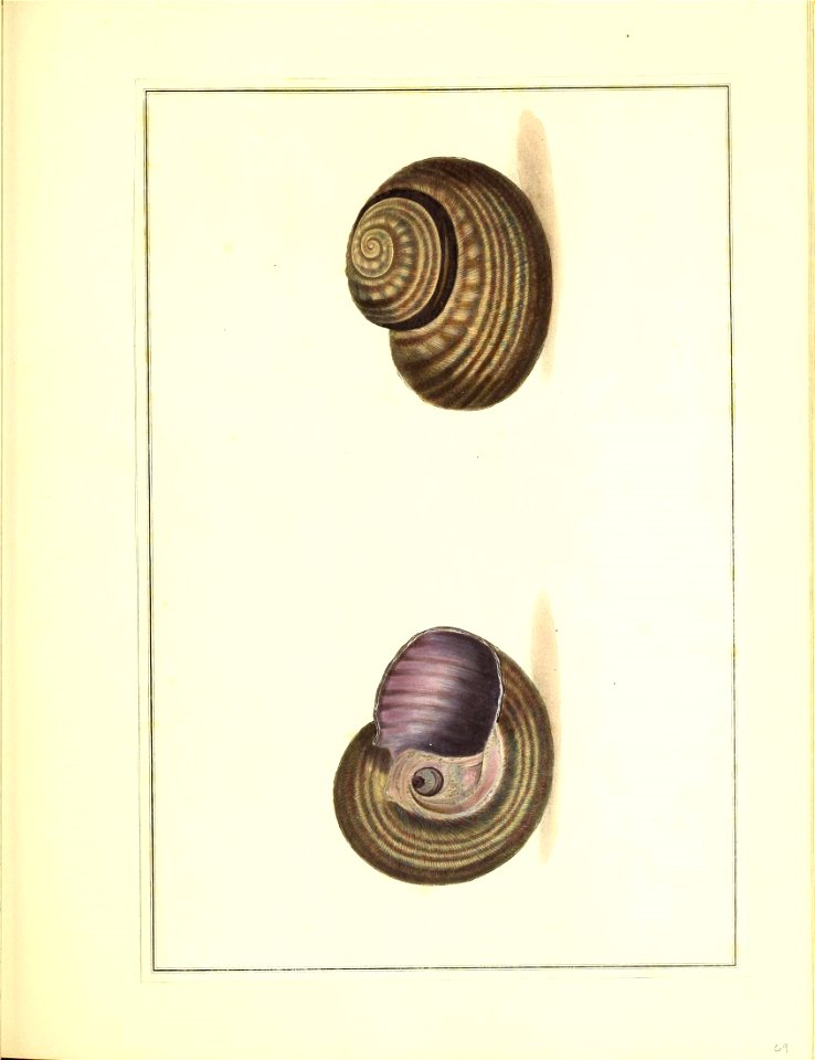 n178_w1150