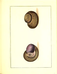 n178_w1150