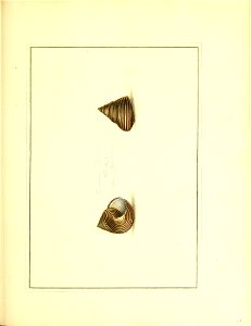 n222_w1150