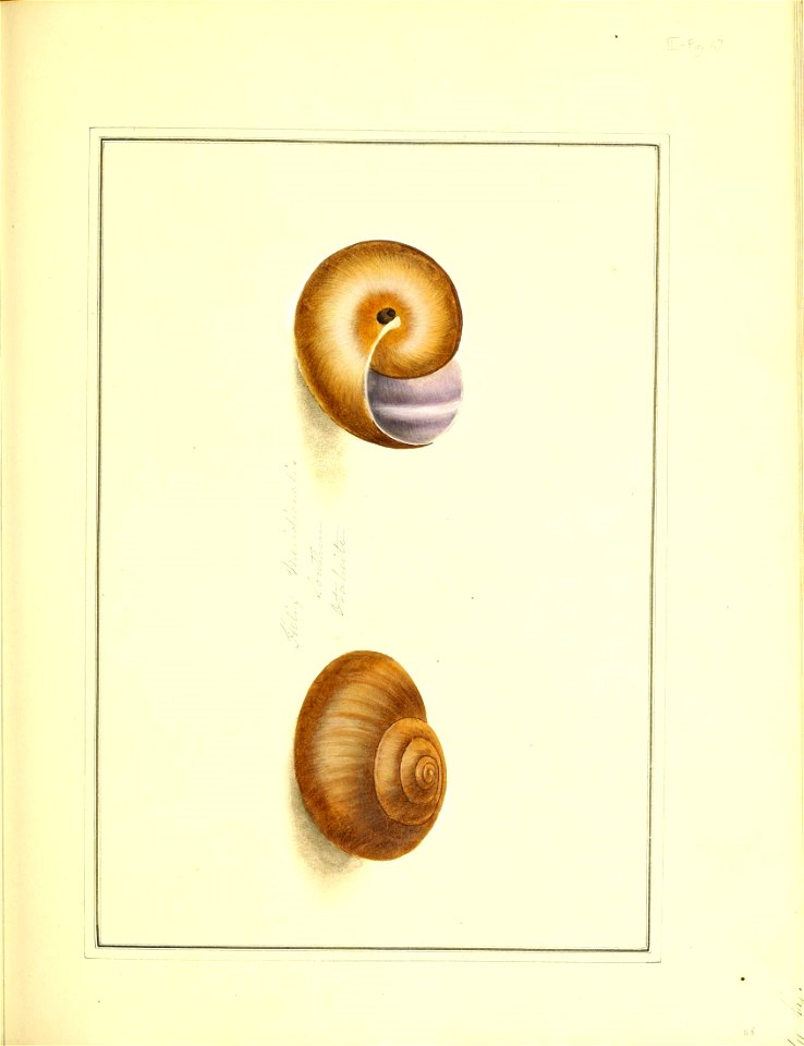 n176_w1150