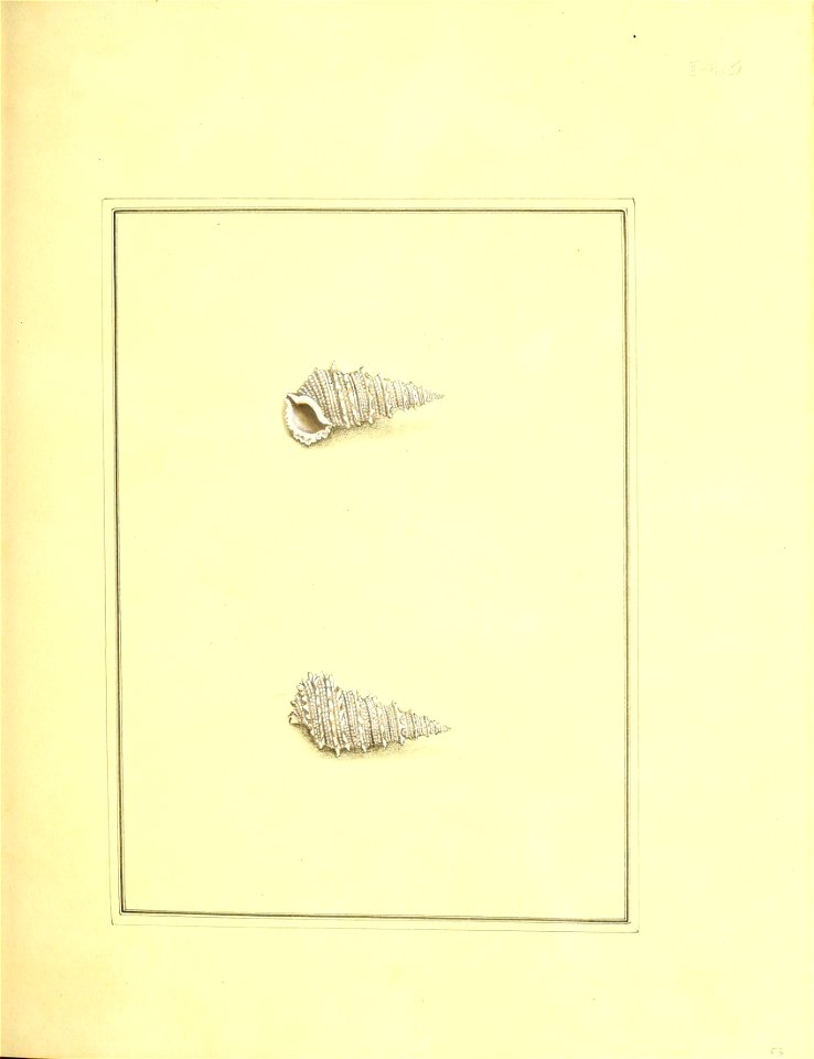 n136_w1150