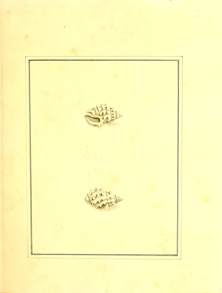 n20_w1150