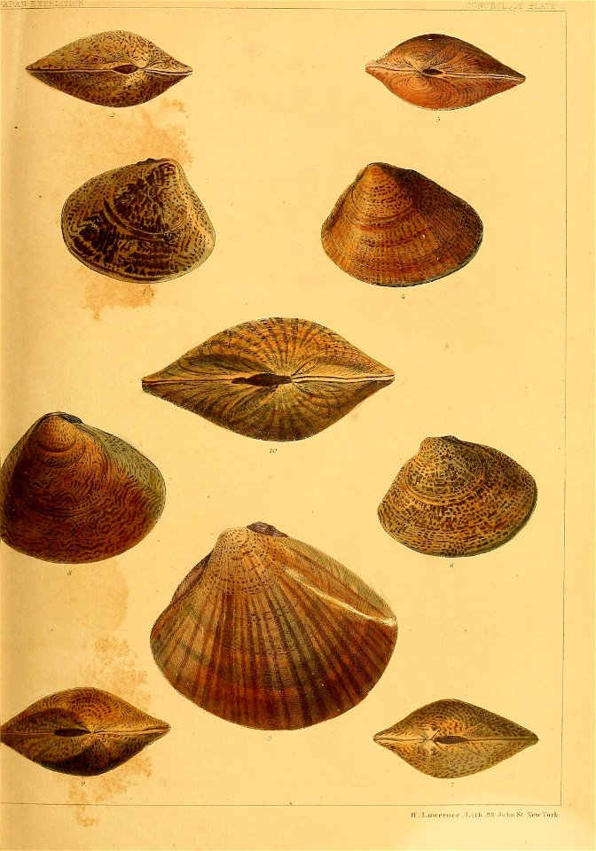 n358_w1150