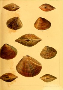 n358_w1150