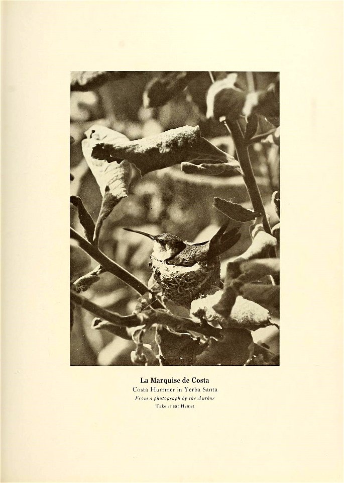 n638_w1150