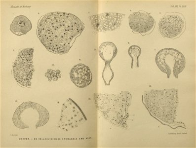 n654_w1150