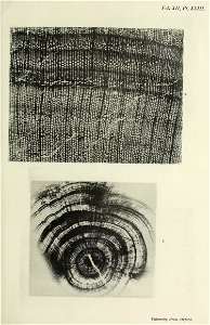 n498_w1150