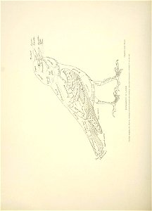 n725_w1150