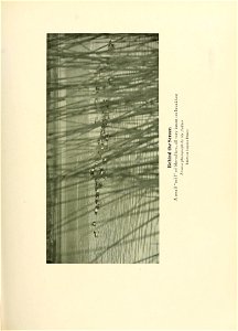 n324_w1150