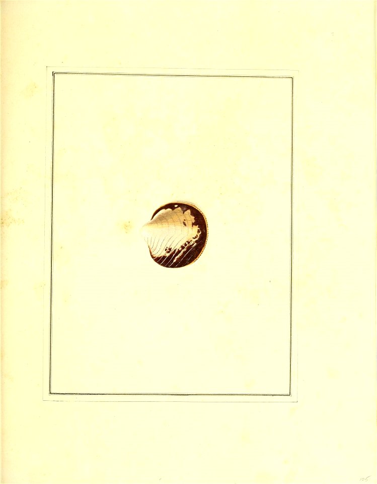n286_w1150